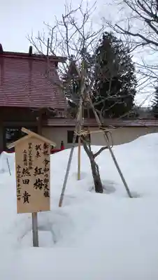仁木神社の歴史