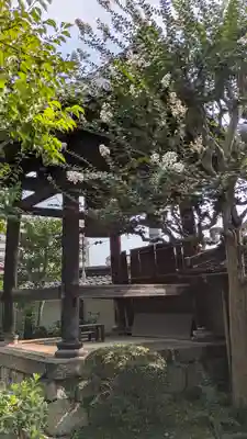 妙光寺(滋賀県)