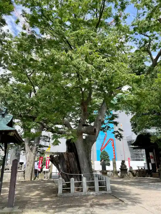 阿邪訶根神社(福島県)