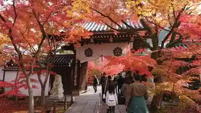 禅林寺（永観堂）の山門・神門