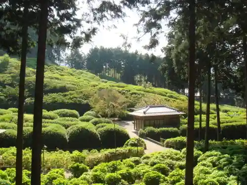 三室戸寺の庭園