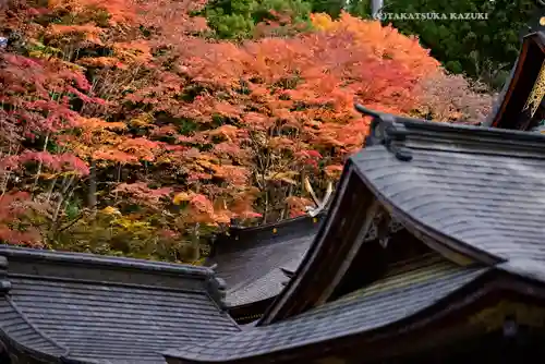 三峯神社(埼玉県)