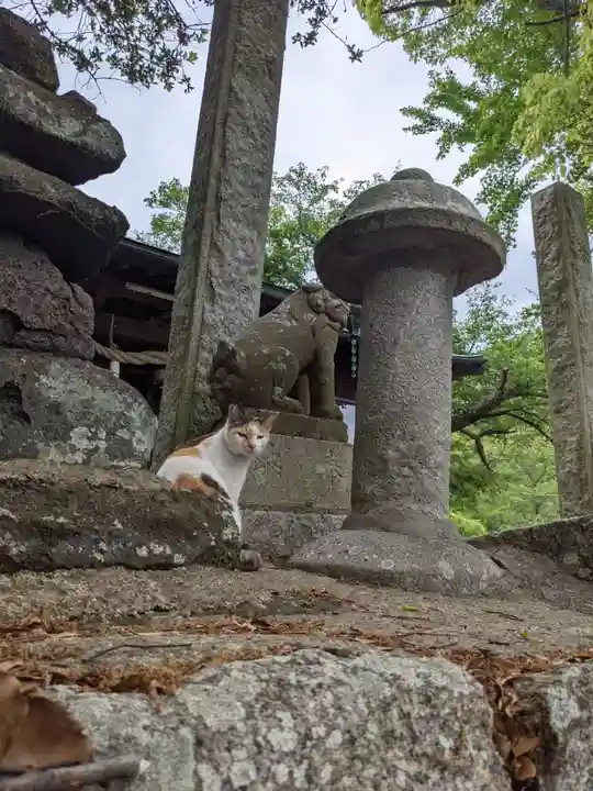 豊玉姫神社の動物