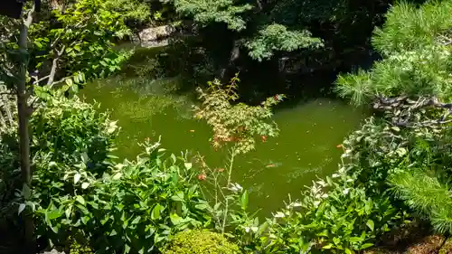 両足院(京都府)