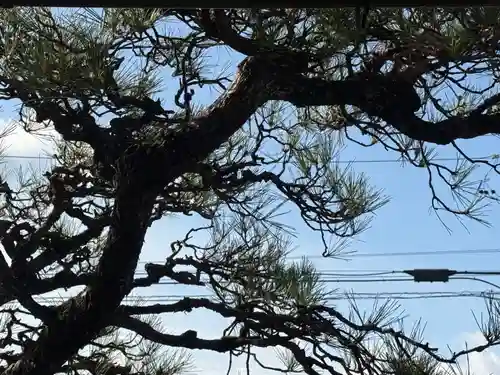 西方山極楽寺(岐阜県)