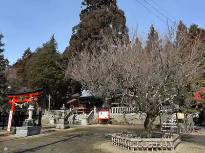 鼬幣稲荷神社(岩手県)