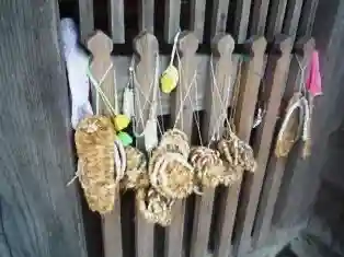 法話と天井絵の寺 観音寺(徳島県)