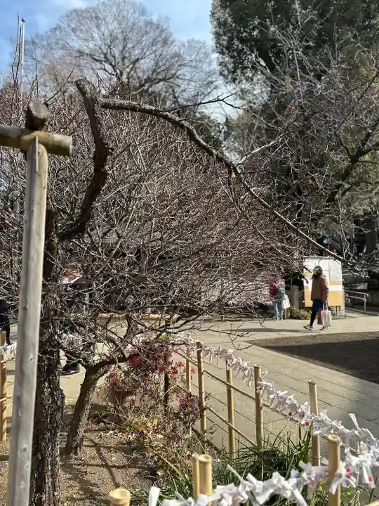 五條天神社(東京都)