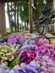 城原八幡社(大分県)