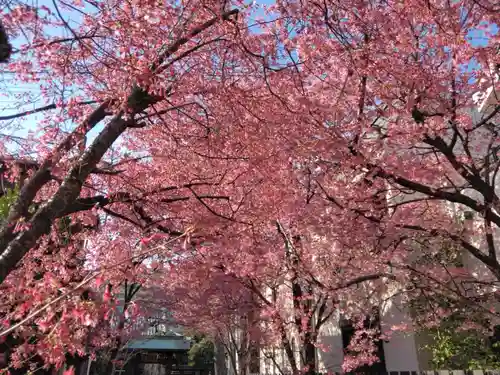 寿福寺(東京都)