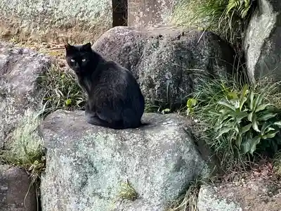 聖天院(埼玉県)