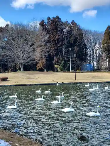 三光稲荷神社(福島県)