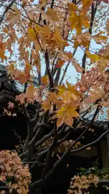 勝林寺(京都府)