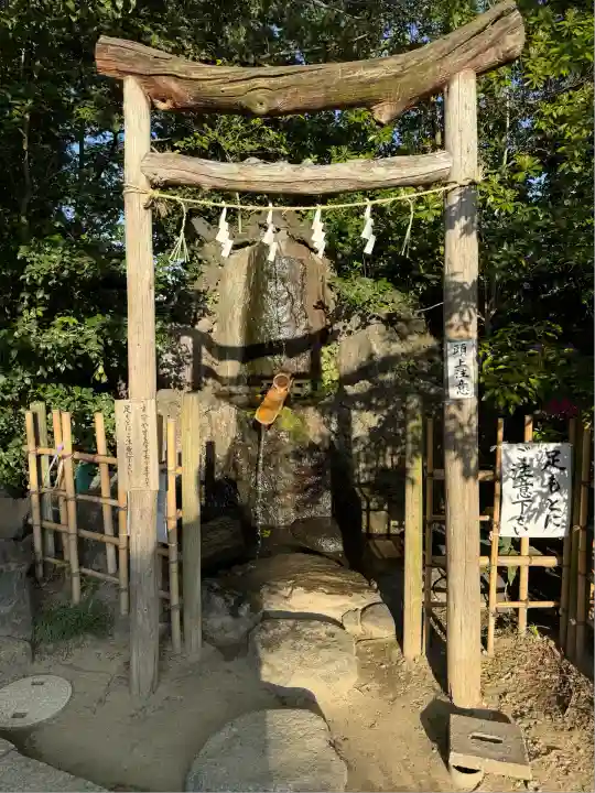 越ヶ谷久伊豆神社(埼玉県)