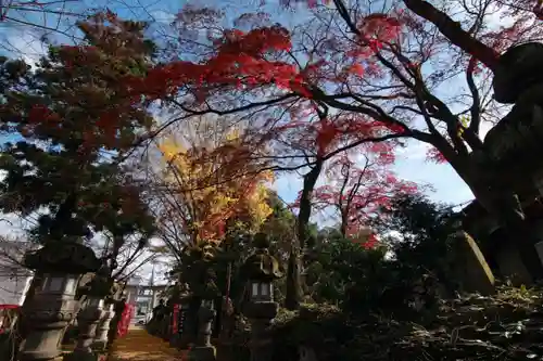 神炊館神社 ⁂奥州須賀川総鎮守⁂の景色