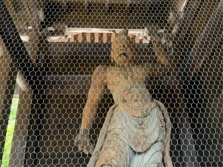 渡岸寺観音堂(向源寺)(滋賀県)