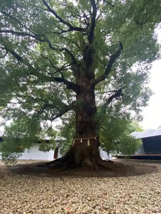 上野東照宮(東京都)