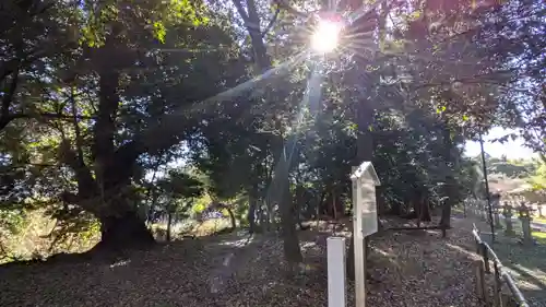 布智神社（本甲）(愛知県)