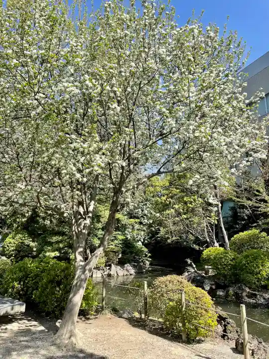 根津神社(東京都)