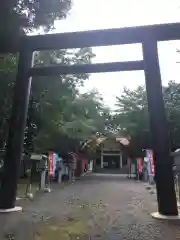 豊栄神社の鳥居