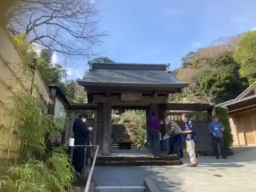 禅居院(神奈川県)