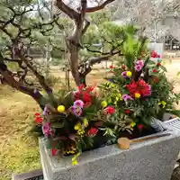 茨城縣護國神社(茨城県)
