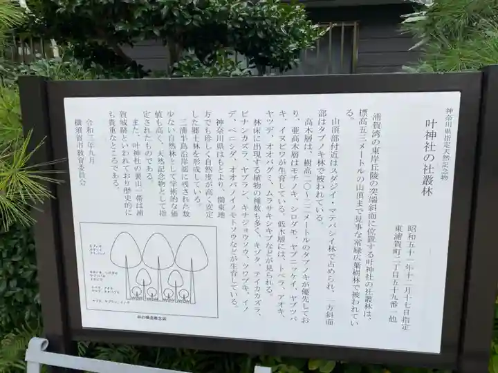 叶神社 (西叶神社)(神奈川県)