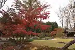 観泉寺の庭園
