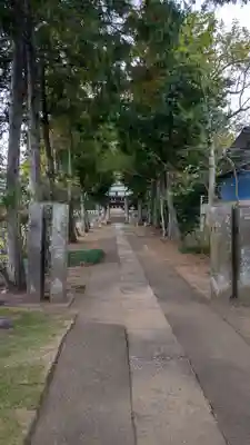富多神社(埼玉県)