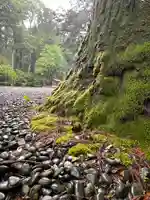 瀧原宮(皇大神宮別宮)(三重県)