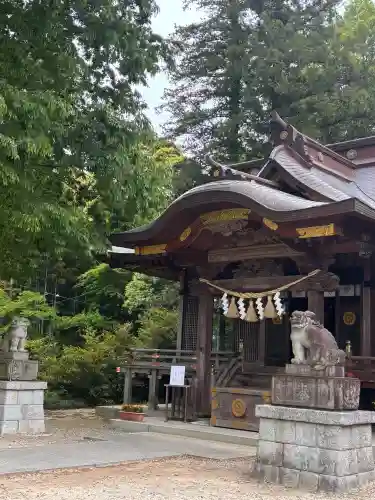 素鵞神社の{uncategorized: "未分類", other: "その他", undefined: "問題あり", building: "その他建物", grave: "お墓", sacred_gate: "鳥居", guardian: "狛犬", statue: "像", buddha: "仏像", history: "歴史", nature: "自然", garden: "庭園", animal: "動物", pagoda: "塔", temizu: "手水舎", mountain_gate: "山門・神門", sanctuary: "本殿・本堂", subordinate: "末社・摂社", art: "芸術", scenery: "景色", jizo: "地蔵", ema: "絵馬", goshuin: "御朱印", omikuji: "おみくじ", items: "授与品その他", amulet: "お守り", goshuincho: "御朱印帳", eats: "食事", festival: "お祭り", votive_dance: "神楽", shichigosan: "七五三参", wedding: "結婚式", experience: "体験その他", initially: "初詣", around: "周辺", anti_infection: "感染症対策"}