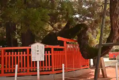 香椎宮(福岡県)