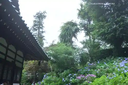 妙楽寺(神奈川県)