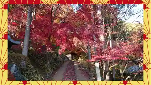 崇禅寺(群馬県)