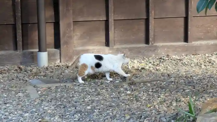 行願寺(革堂)(京都府)