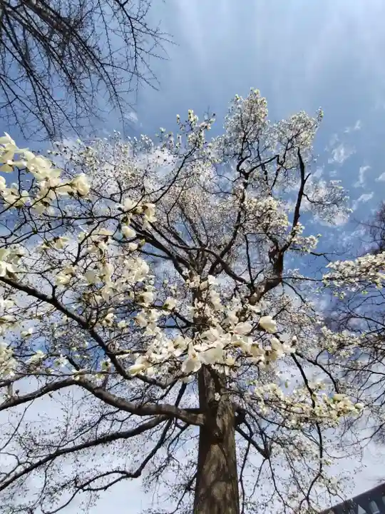 厚別神社(北海道)