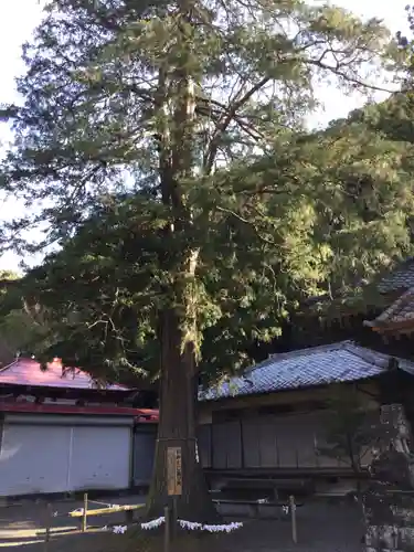白瀧神社(群馬県)