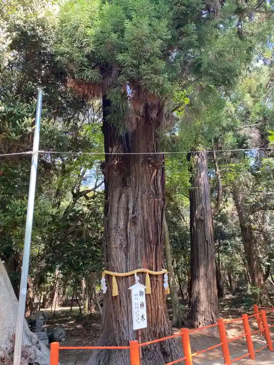 息栖神社の自然