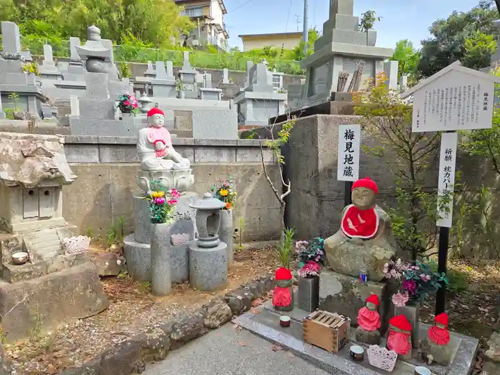 善楽寺(高知県)