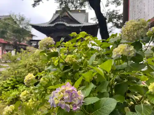 秩父札所十三番 慈眼寺の自然