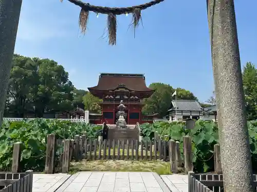 伊賀八幡宮(愛知県)