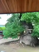 上野東照宮(東京都)