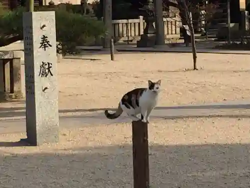 若松恵比須神社 (福岡県)