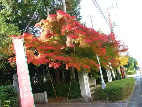 安養寺のその他建物