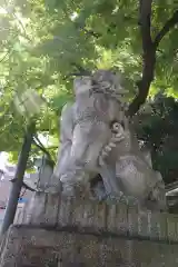 秩父神社の狛犬