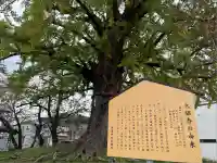 津島神社(愛知県)