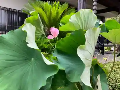 東福寺(東京都)