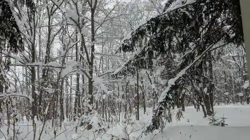 雨紛神社の自然
