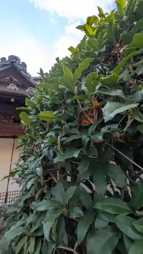 香雪院(京都府)