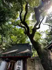 杭全神社(大阪府)